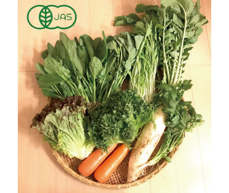 ＜有機＞さんぶの有機野菜セット ６品